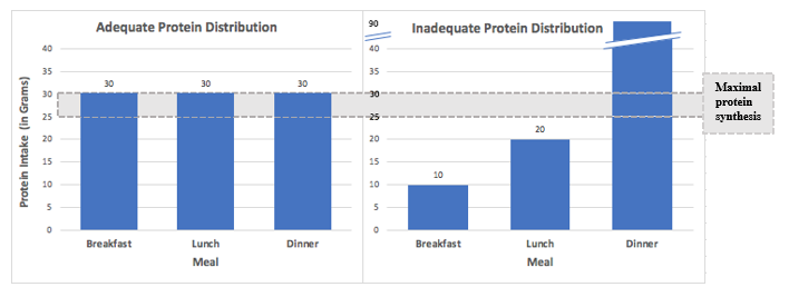 Protein distribution chart comparing adequate and inadequate protein intake patterns across breakfast, lunch, and dinner.