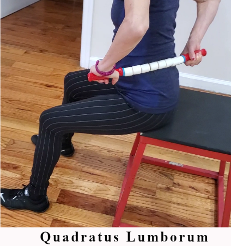 Seated trigger point release using The Stick on the quadratus lumborum.