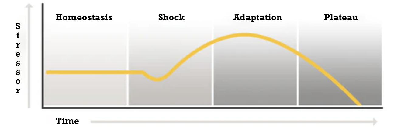 Seyle's General Adaptation Syndrome curve showing homeostasis, shock, adaptation, and plateau over time.